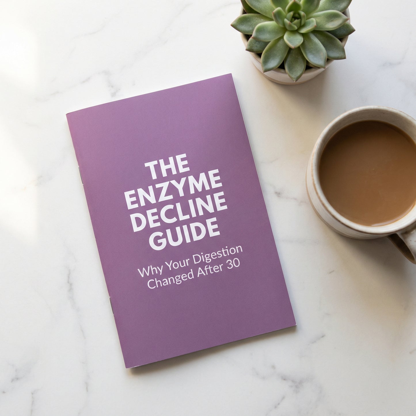 Enzyme Decline Guide